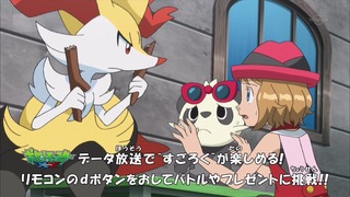 xy (17)