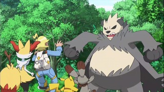 xy (53)