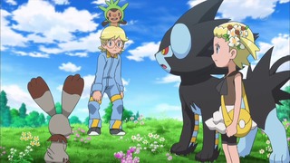 xy (68)