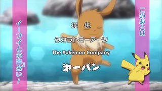 xy (9)