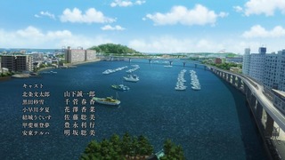 cap (113)