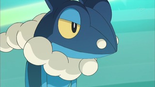 xy (120)