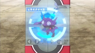 xy (37)
