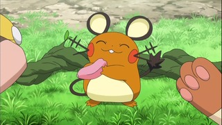 xy (79)