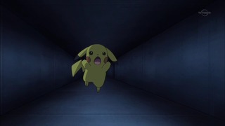 xy (71)