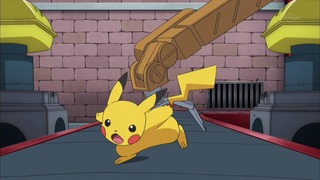 xy (84)