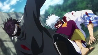 cap (264)