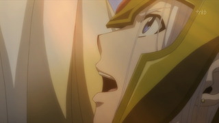 cap (33)