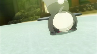 xy (155)