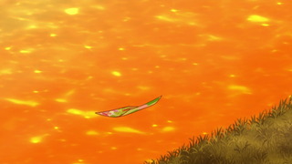 cap (17)