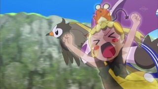 xy (146)
