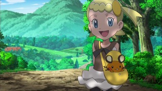 xy (146)