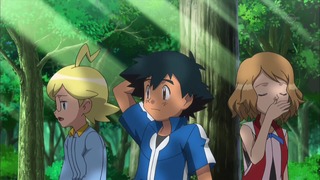 xy (145)