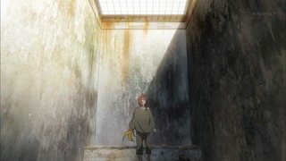 cap (225)