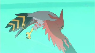 xy (129)