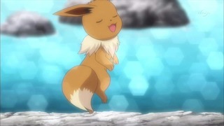 xy (240)