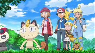xy (149)