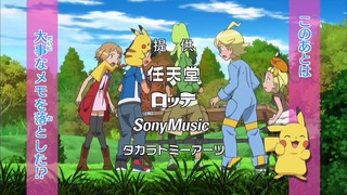 xy (6)