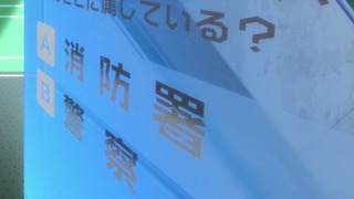 cap (60)