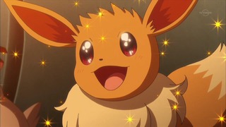 xy (192)
