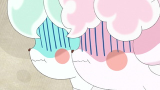 koko-113