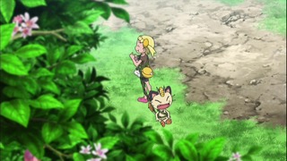 xy (70)