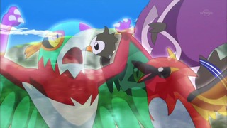 xy (144)
