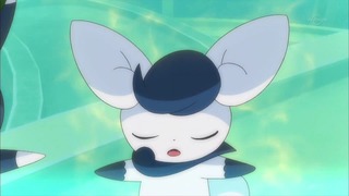 xy (36)
