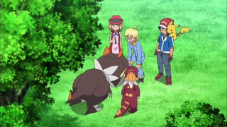 xy (25)
