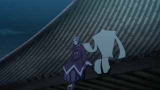 cap (13)