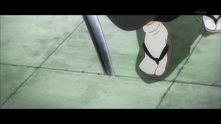 cap (244)