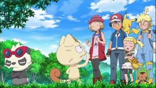 xy (146)