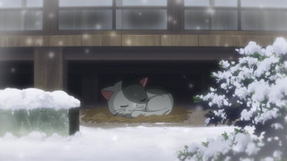 cap (254)