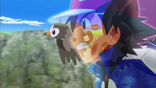 xy (147)