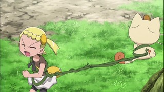 xy (71)