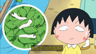 maruko-165