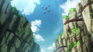 cap (135)
