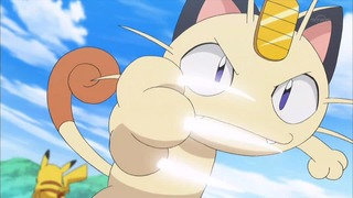 xy (165)