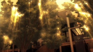 cap (55)