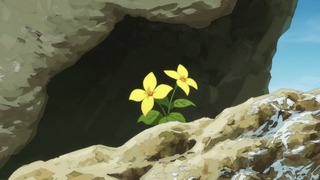 cap (333)
