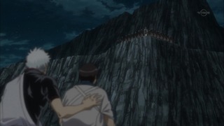 cap (239)