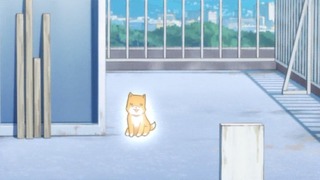 cap (129)