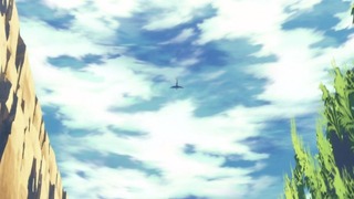 cap (113)