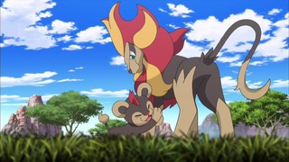 xyz (14)
