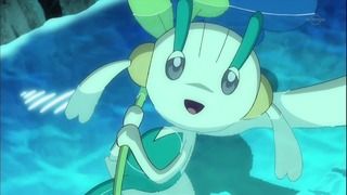 xy (133)