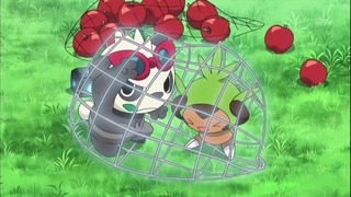 xy (11)