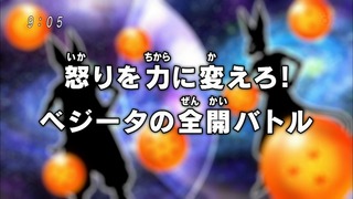 cap (6)