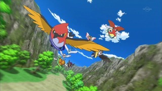 xy (73)