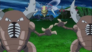 xy (16)