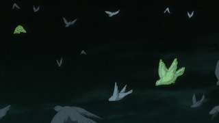 cap (217)